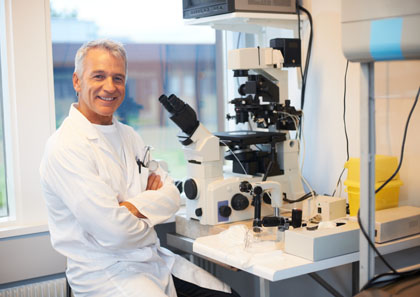 自动攻击网站工具下载